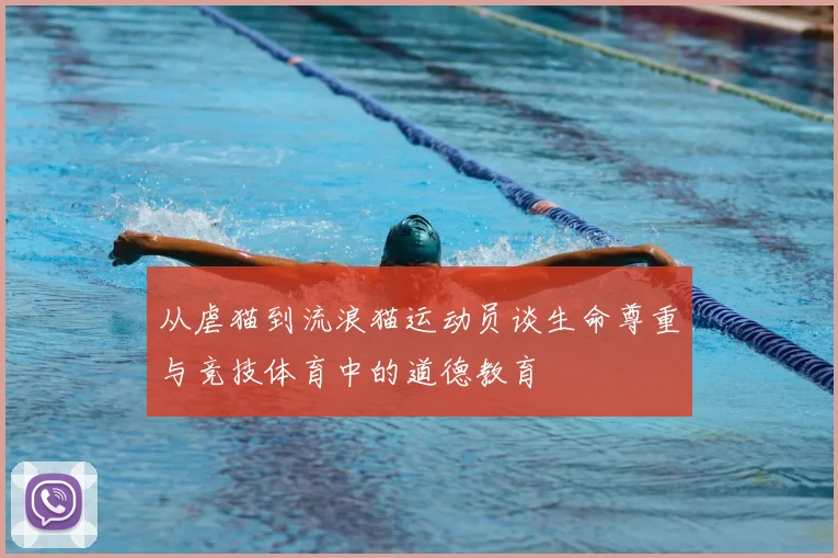 从虐猫到流浪猫运动员谈生命尊重与竞技体育中的道德教育